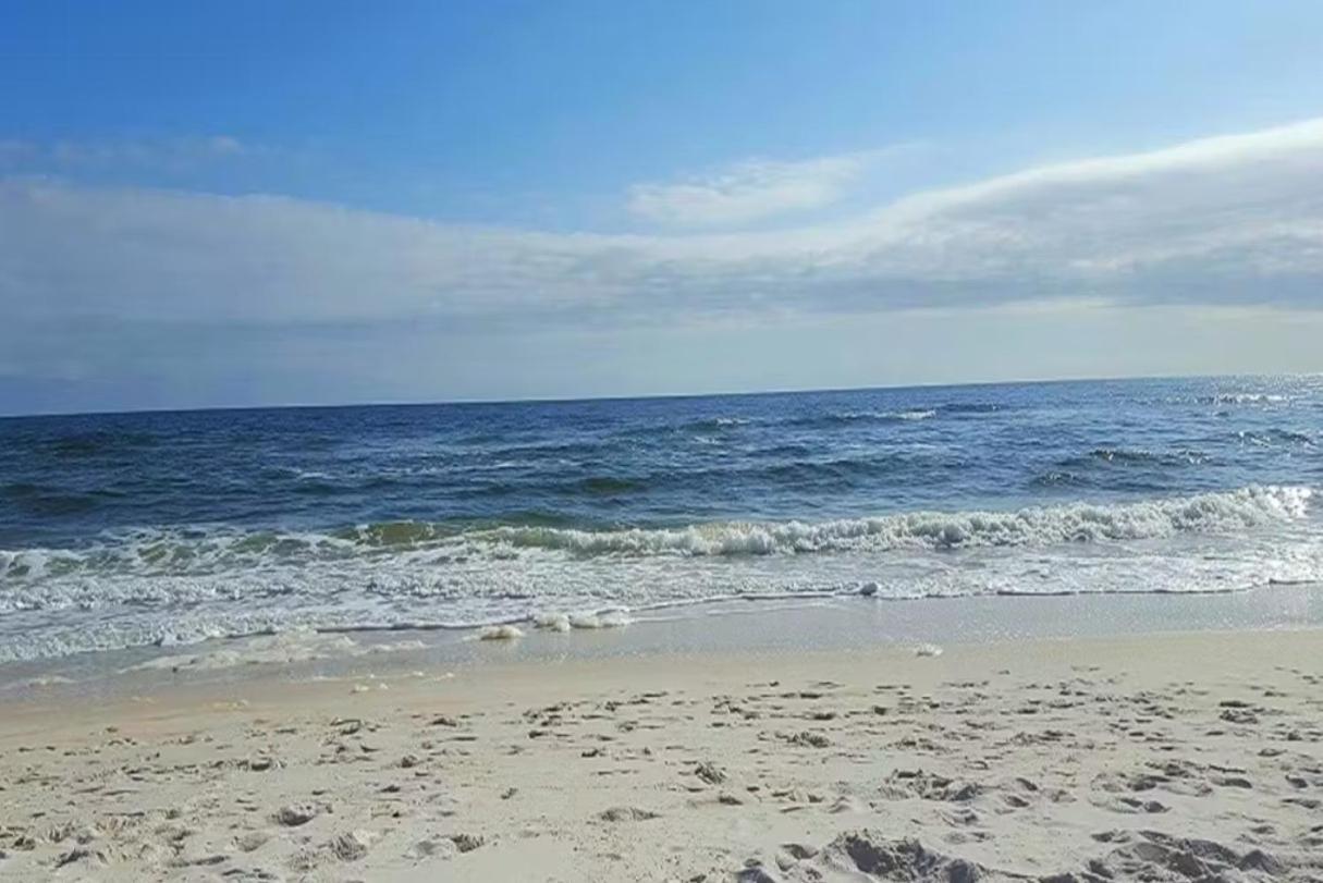 Sandy Feet Retreat Pensacola Exteriör bild